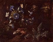 SCHRIECK, Otto Marseus van Blaue Winde, Krote und Insekten Spain oil painting artist